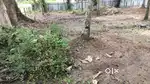 10 Cents land at Chennithala
