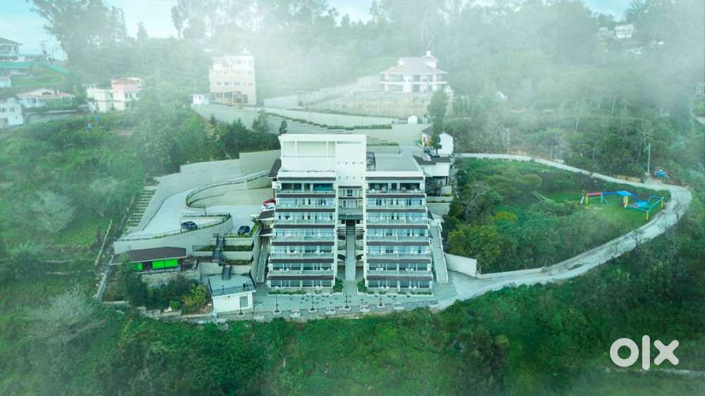 FRONT OFFICE EXECUTIVE