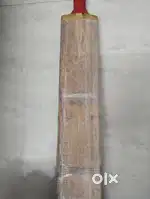 Cricket bat for leather ball