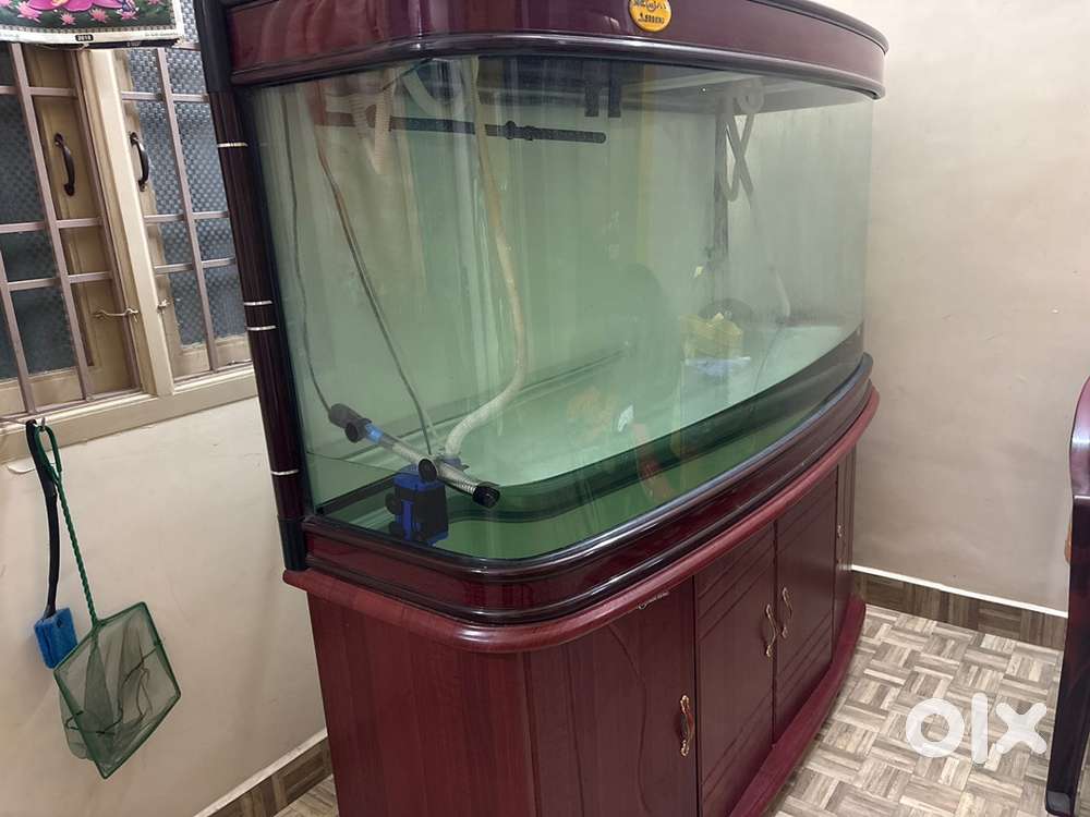 Fish tank(household use)