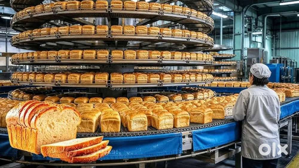 Wanted m/f packing staffs [ partime/ fulltime ]