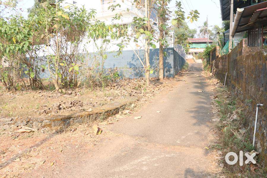 House plot 8 cents near  Panampalam-Mannanam road 3.75 lakh/cent
