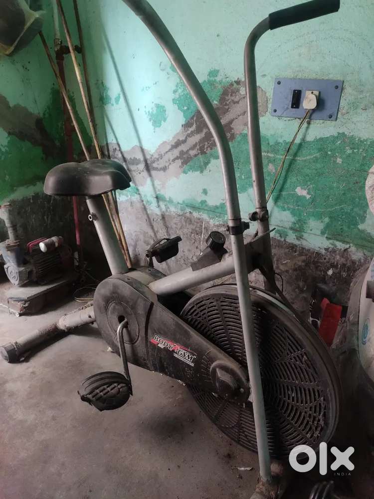 Exercise cycle