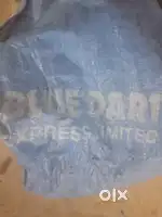 BLUEDART courier delivery service
