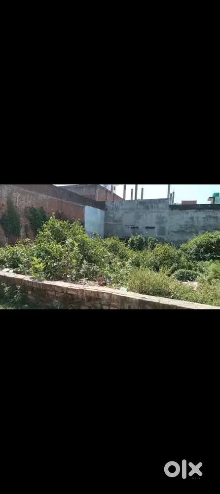 Plot in Tilak Nagar Ayodhya (2700 Sq ft)