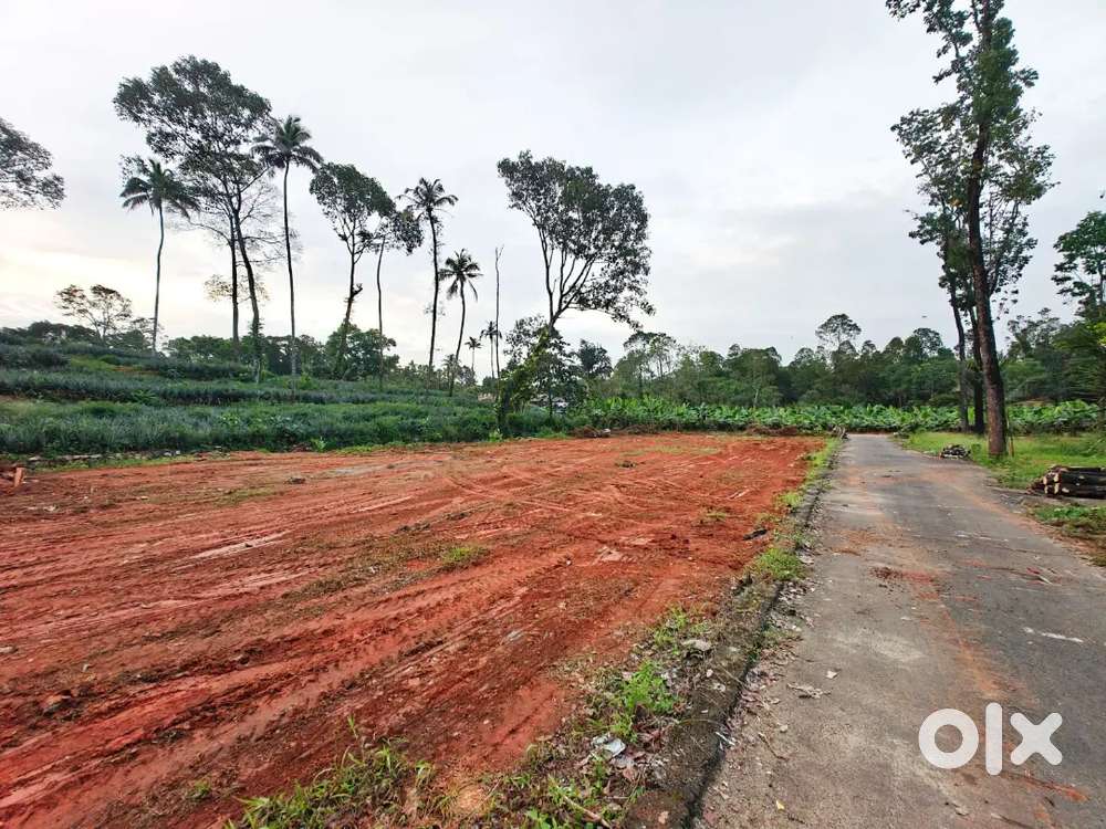 തൊടുപുഴ - ജയറാണി സ്കൂളിന് അടുത്ത് ഹൗസ് plot കൾ വിൽപ്പനയ്ക്ക്