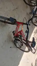 small cycle at BBAU Lucknow