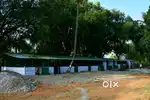 Aroma Sandalo Farmland – Sandalwood & Fruit Plantation with Assured In