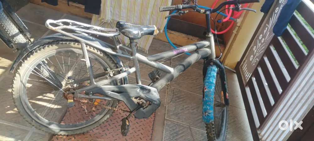 Hercules cycle 9-10y