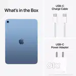 10th Gen 256 GB WiFi Only