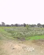 25000 sqft Road Touch Farm Land Nr Rala Mandal @ 1400/sqft