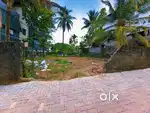 5 Cent Semi Commercial Plot For Sale @Kakkanad Near Seaport Airport Rd