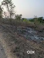300sqmtr residential orchard plot at Dhargal