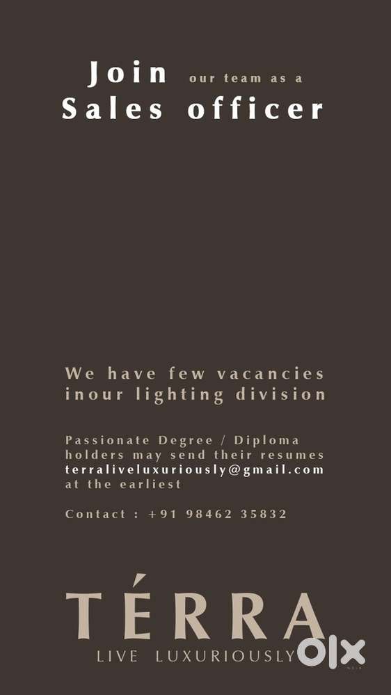 Sales Officer - Leading Lighting Company
