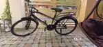 Cycle for immediate sale