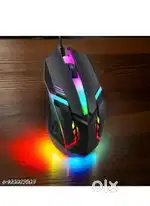 RGB mouse.