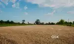 Plot for sale