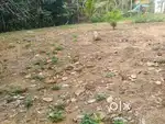 10.600 cents residential plot available for sale in Thiruvaniyoor, Ern