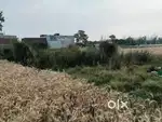 Residential Plot