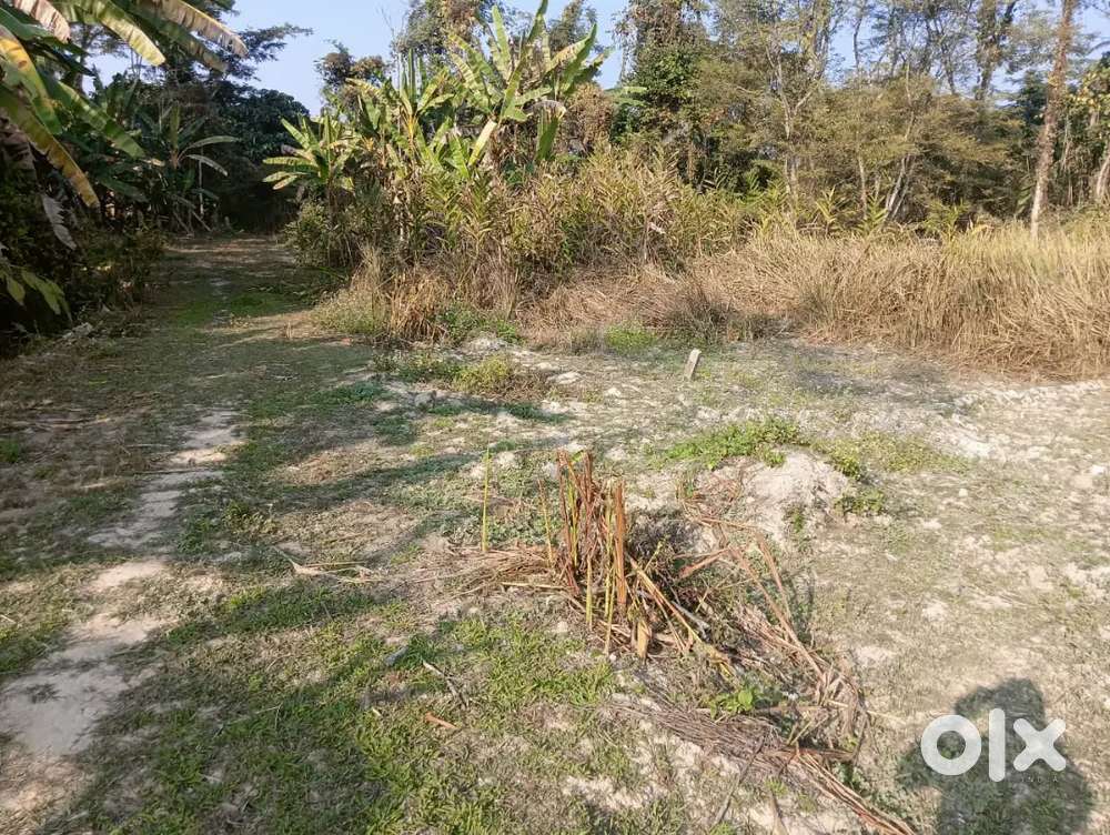 Farm Land for sale at a very reasonable price, near Niuland town area
