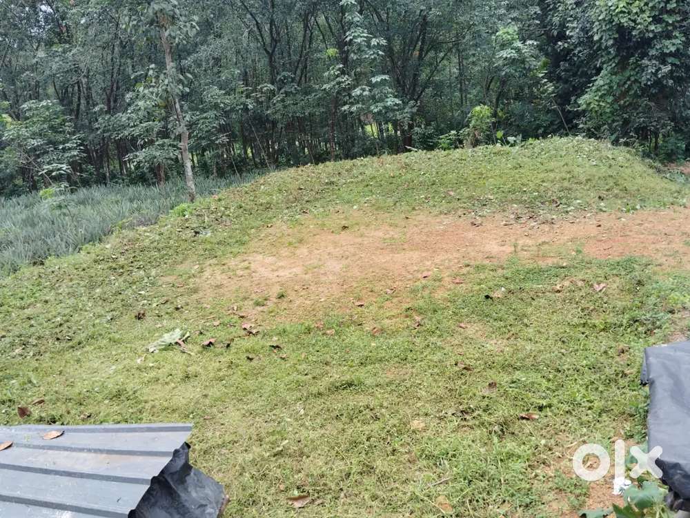 Pala രാമപുരം റൂട്ടിൽ 7.5 cent huse പ്ലോട്ട് വില്പനക്ക്