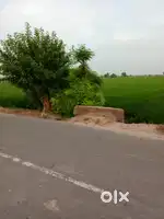 lehragaga  jamin