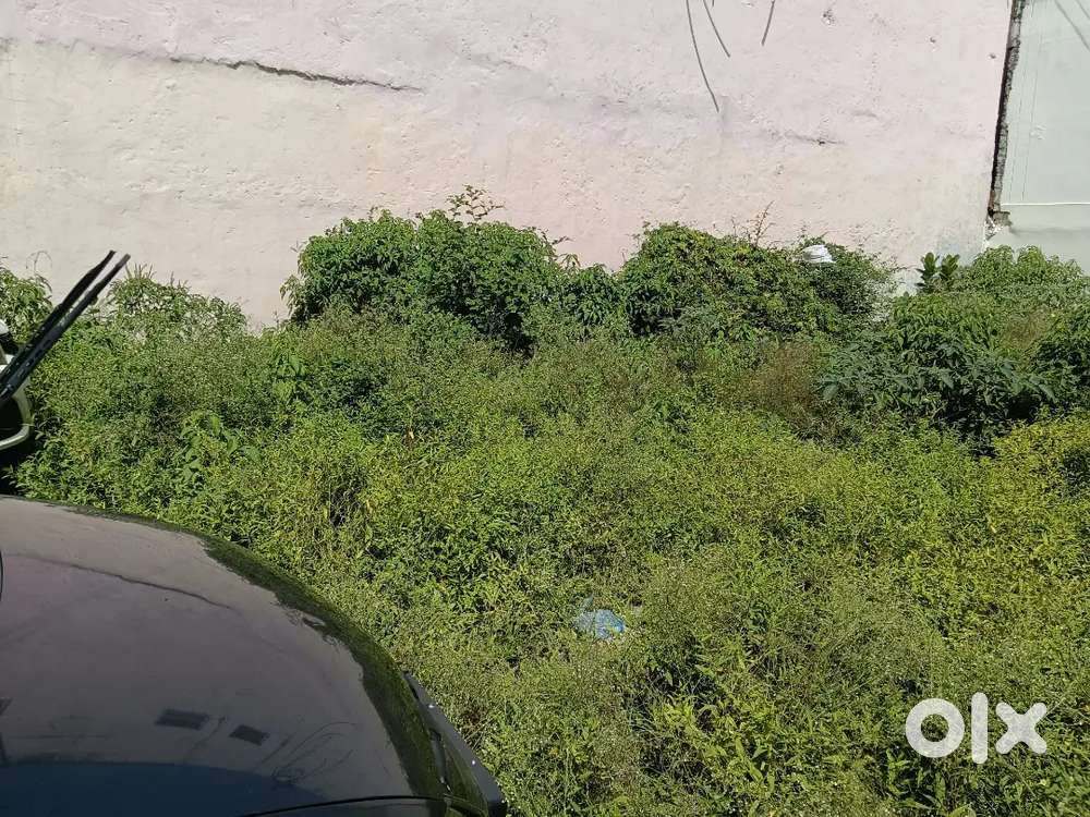 3200 sqft प्लॉट बेचना सेमी कमर्शियल रोड से दूसरा प्लॉट दानिश कुंज