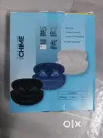 Zebronics original earbuds