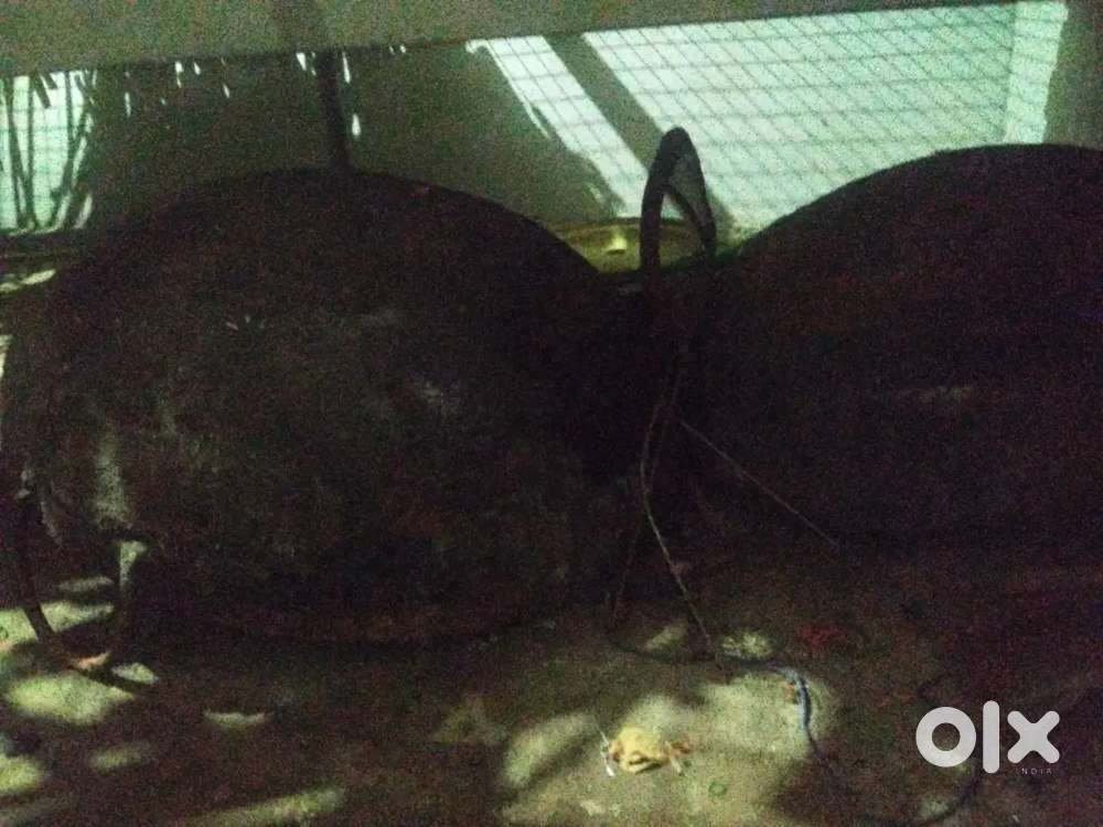 Banana chips cutting machine  chatti stand extra