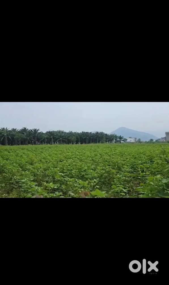 RAYAGADABYPASSROAD 73 cent 0.7cent1plots0.4cents plotsnearsugarfactory