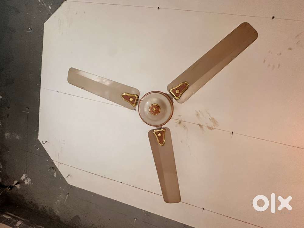 5 Crompton Fans for Sale.