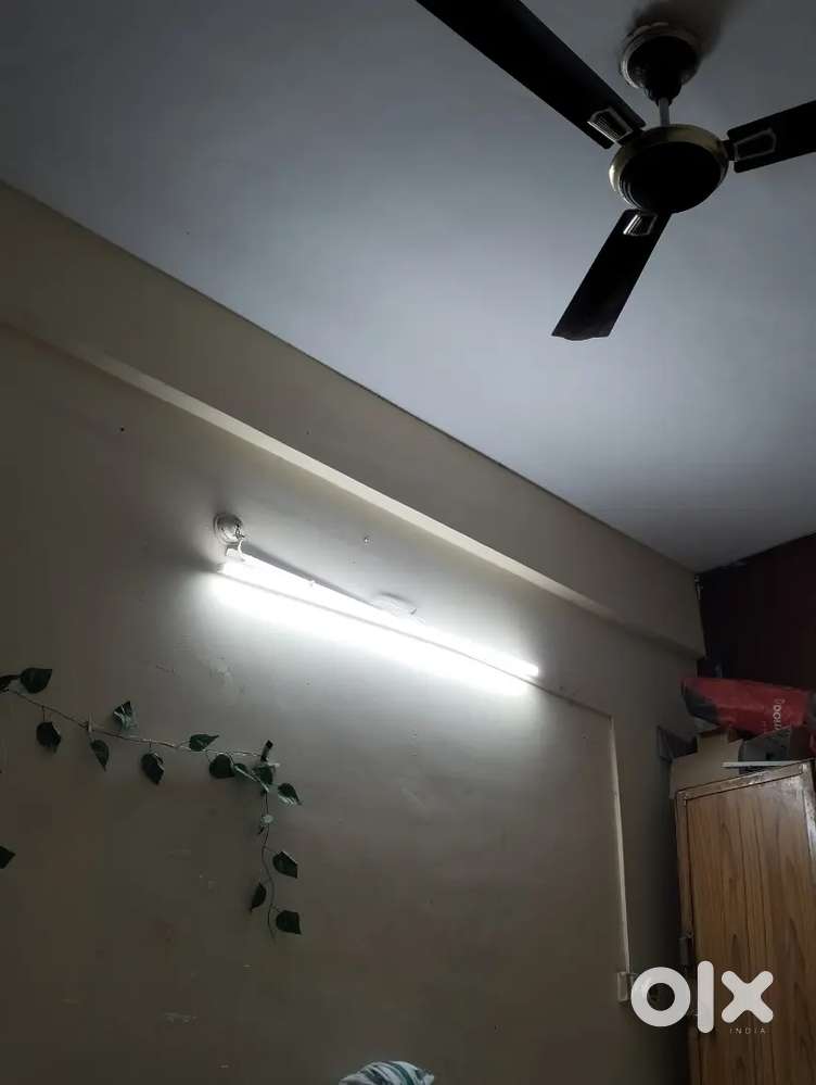 Female roommate required