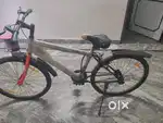 Adventure scout
