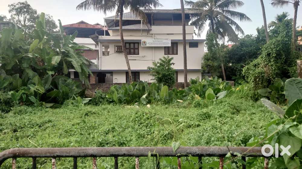 10 cents land purayidam Lurd Pachalam