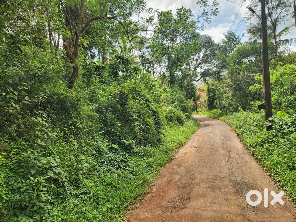 1 ACER 75 CENT LAND WITH 2 HOUSES FOR SALE ,COMMERCIAL PURPOSE @WAYNAD