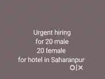 We need 20 female staff and 20male for our hotel