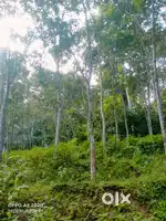 പത്തനംതിട്ട ജില്ലയിൽ ചിറ്റാർ നീലിപിലാവിൽ 5 Acre 18 Cent വസ്തു വില്പനക്