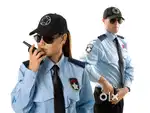 Security Guard