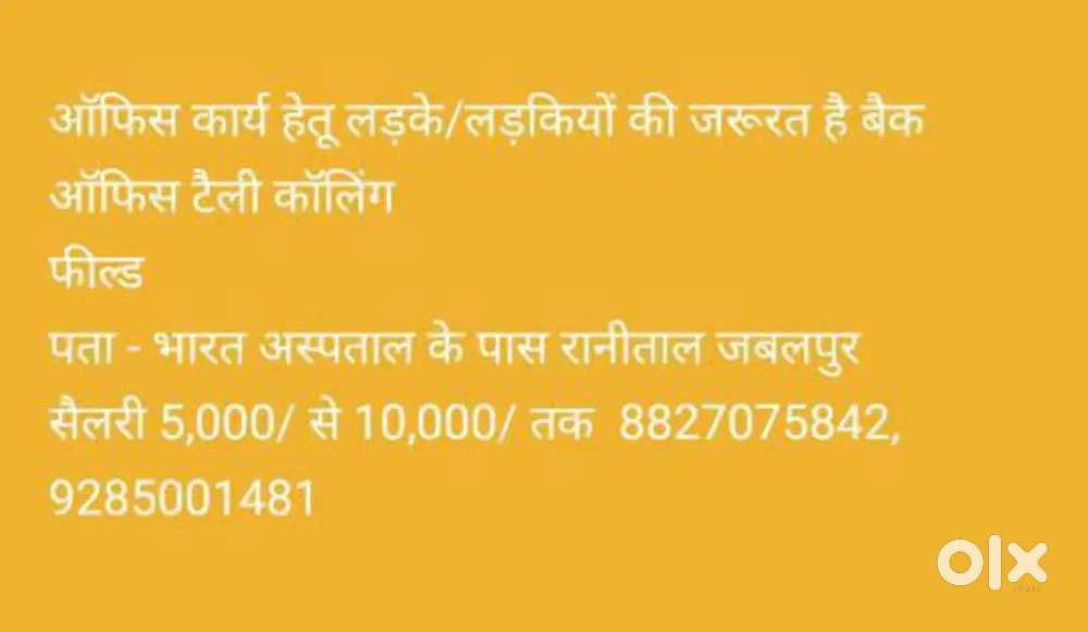 Job apply only Hard working client