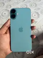 16 plus teal col