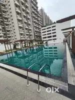 1 bhk and 2 bhk on rent