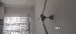 Bajaj Ceiling Fan