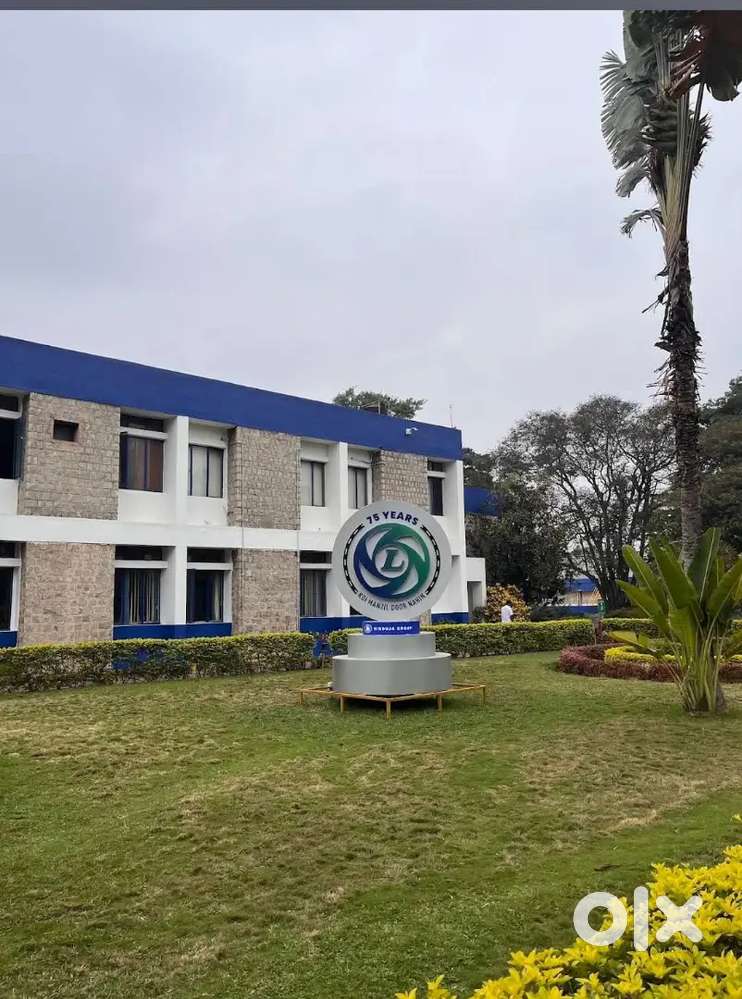 production in shayee contract