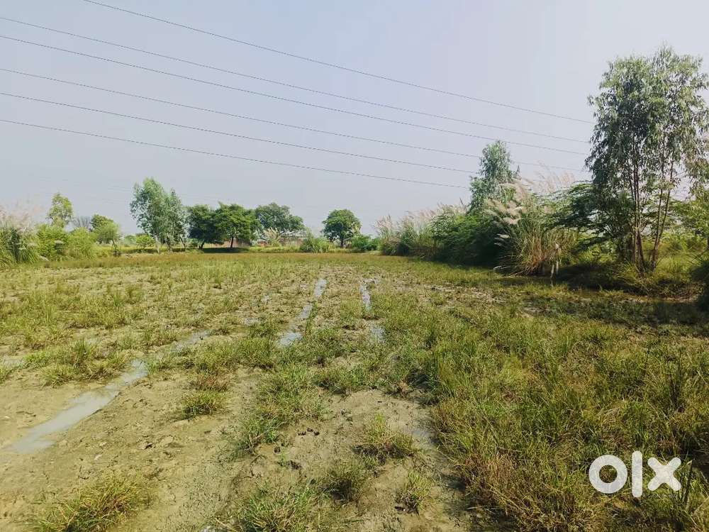 NH2 main road for rent like showroom or work shoop