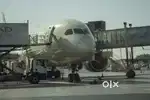 Urgent hiring for the airport ground staff both candidate apply for