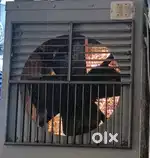 Cooler for sale