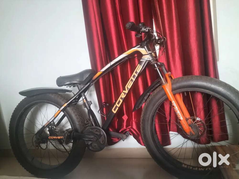 Adventure Awaits: Own the Ultimate Fat Tyre Cycle