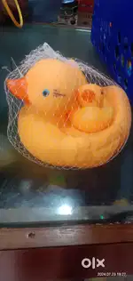 Best Duck Toy for kids