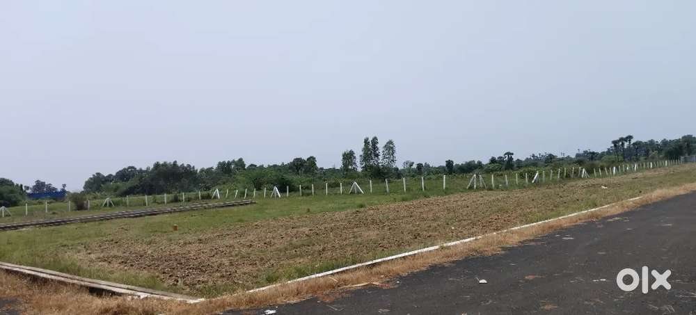 10,000.      High valued plots at low cost