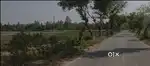 3 bigha jameen urgent for sale in mahmudabad